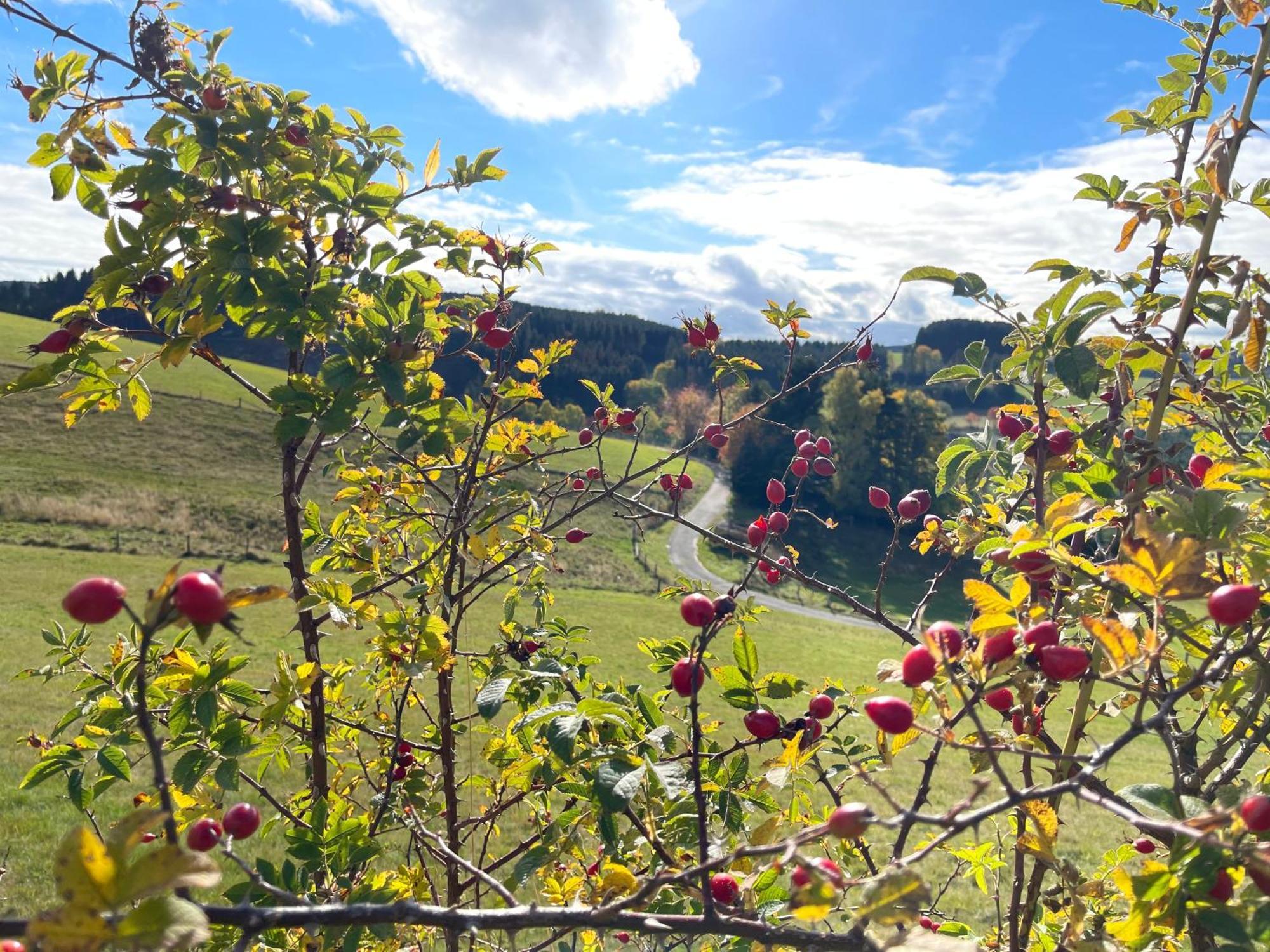Sonnenheim * Winterberg