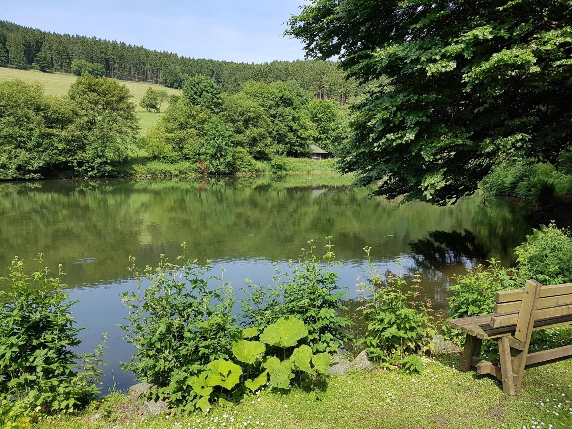 Sonnenheim Winterberg